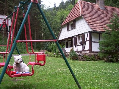 1638_1153253111_Schwarzwald 1[1].7.-14.7.2006 109.jpg