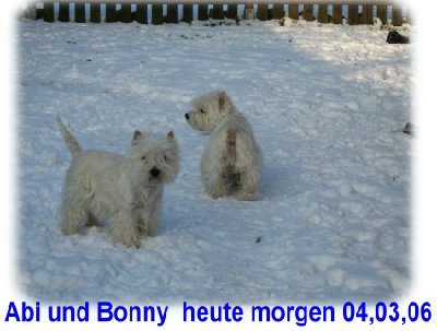 Abi und Bonny.JPG