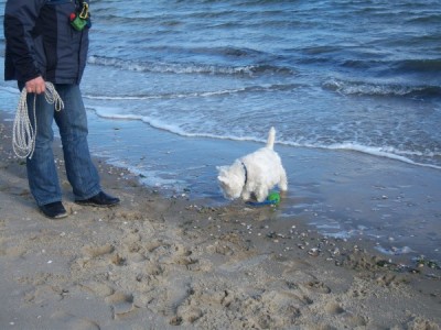 Ballspiel am Wasser.jpg