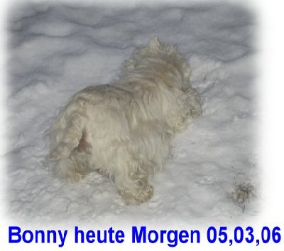 Bonny 05,03,06.JPG