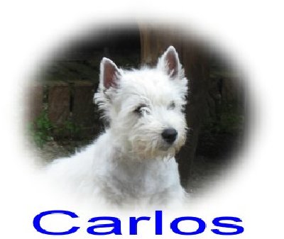 Carlos 11.JPG