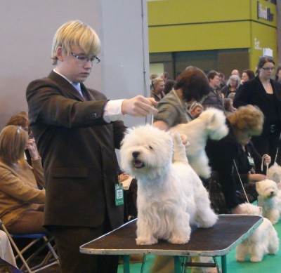 Crufts2009-016.jpg