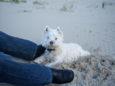 Ein Puschen im Sand.jpg