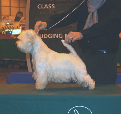 marc crufts 2010 04.JPG