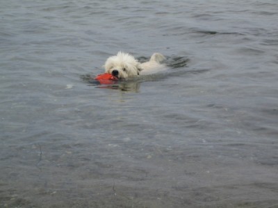 Ostsee 0079.jpg