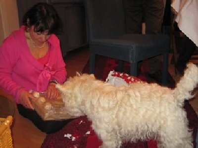 Weihnachten 2011.1.JPG