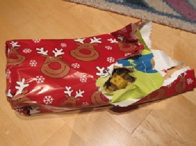 Weihnachten 2011.2.JPG