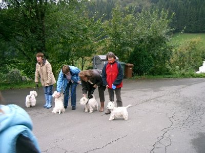 westietreffen2.jpg