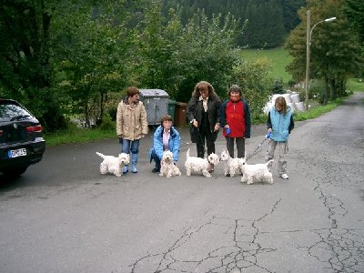 westietreffen 1.jpg