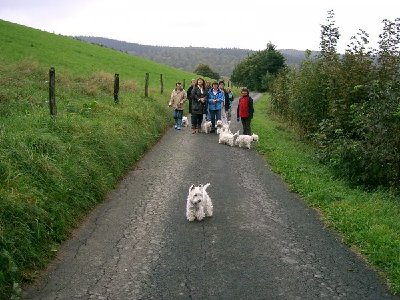 westietreffen 3.jpg