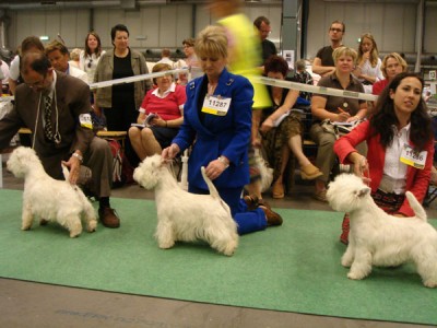 World-Dog-Show-013.jpg