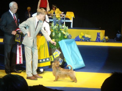 World-Dog-Show-044.jpg