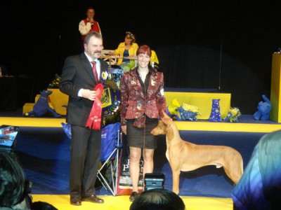 World-Dog-Show-051.jpg