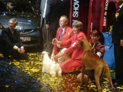 World Dog Show 056.jpg